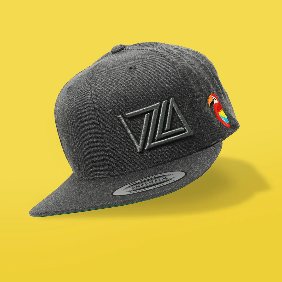 VZLA Flat Bill Snapback Hat (Guacamaya) - Image 3